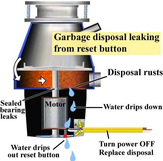 disposer leak