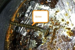 disposer screw