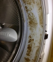 My Washer Stinks